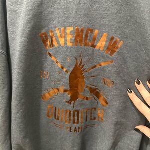 Ravenclaw Quidditch Team Grey Sweater